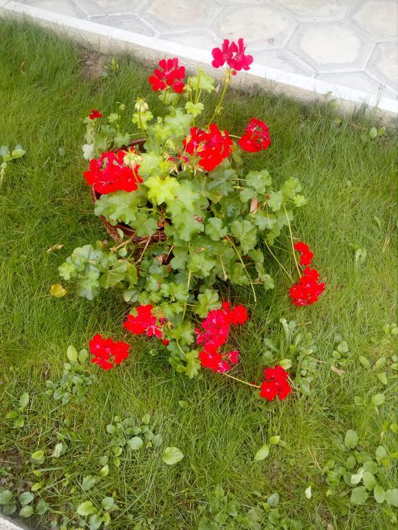 Балнеохотел Роза Strelcha Bagian luar foto